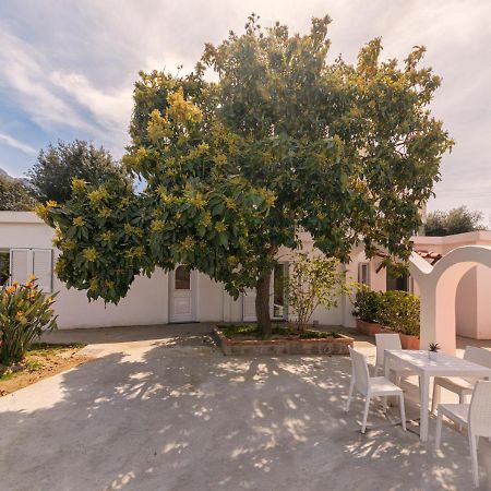 Villa Casa Yucca à Forio di Ischia Extérieur photo