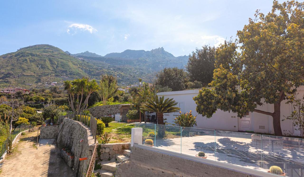 Villa Casa Yucca à Forio di Ischia Extérieur photo