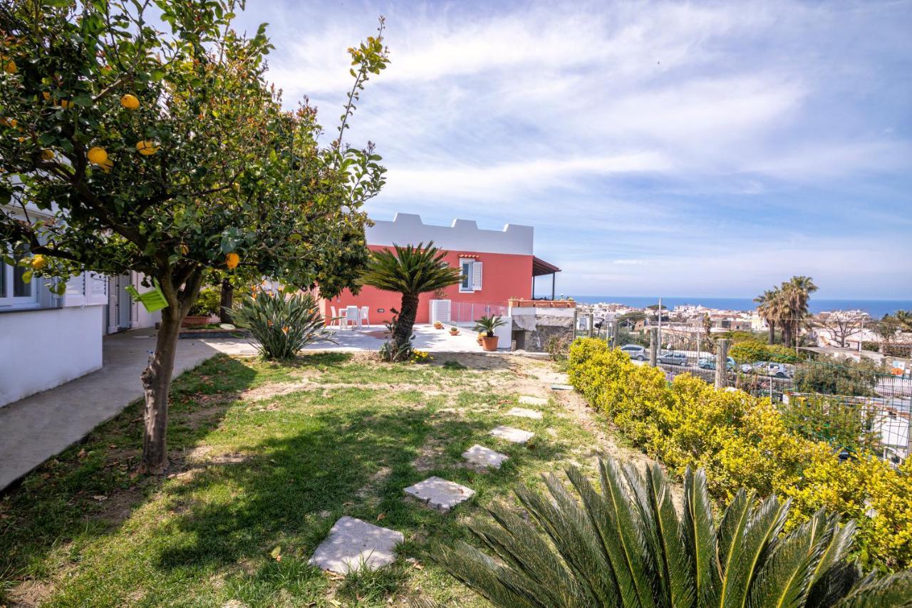 Villa Casa Yucca à Forio di Ischia Extérieur photo