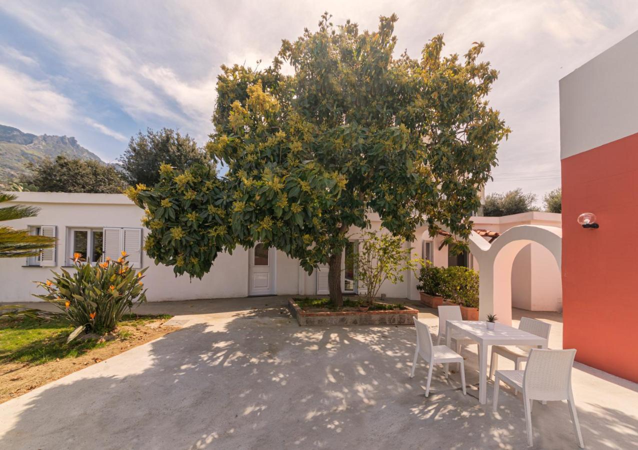Villa Casa Yucca à Forio di Ischia Extérieur photo